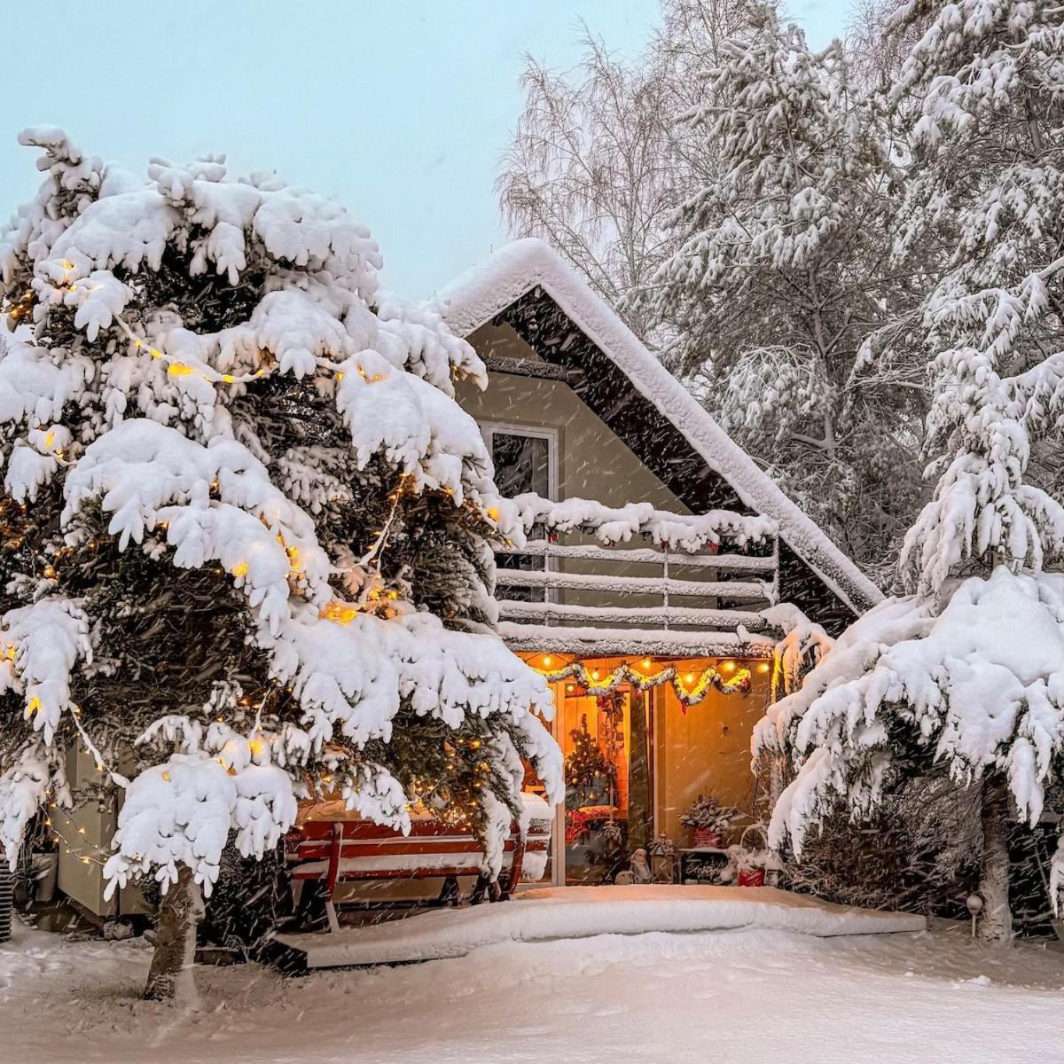 Rajska Cisza - Caloroczny Prywatny Domek W Lesie Nad Jeziorem - Sauna I Balia كرونغ المظهر الخارجي الصورة