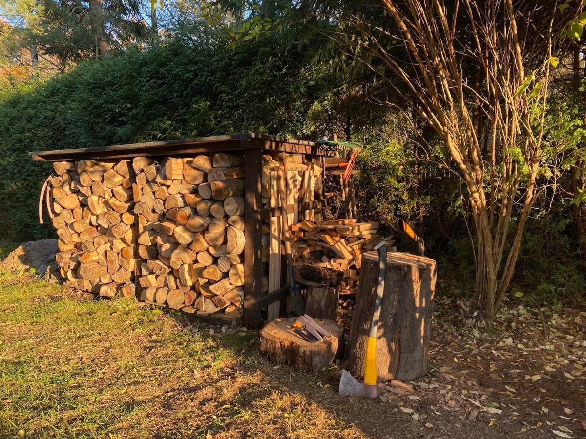 Rajska Cisza - Caloroczny Prywatny Domek W Lesie Nad Jeziorem - Sauna I Balia كرونغ المظهر الخارجي الصورة